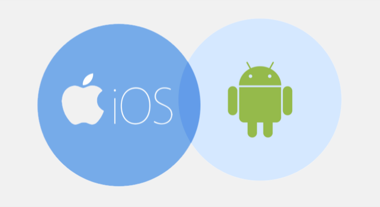 iOS/Android App